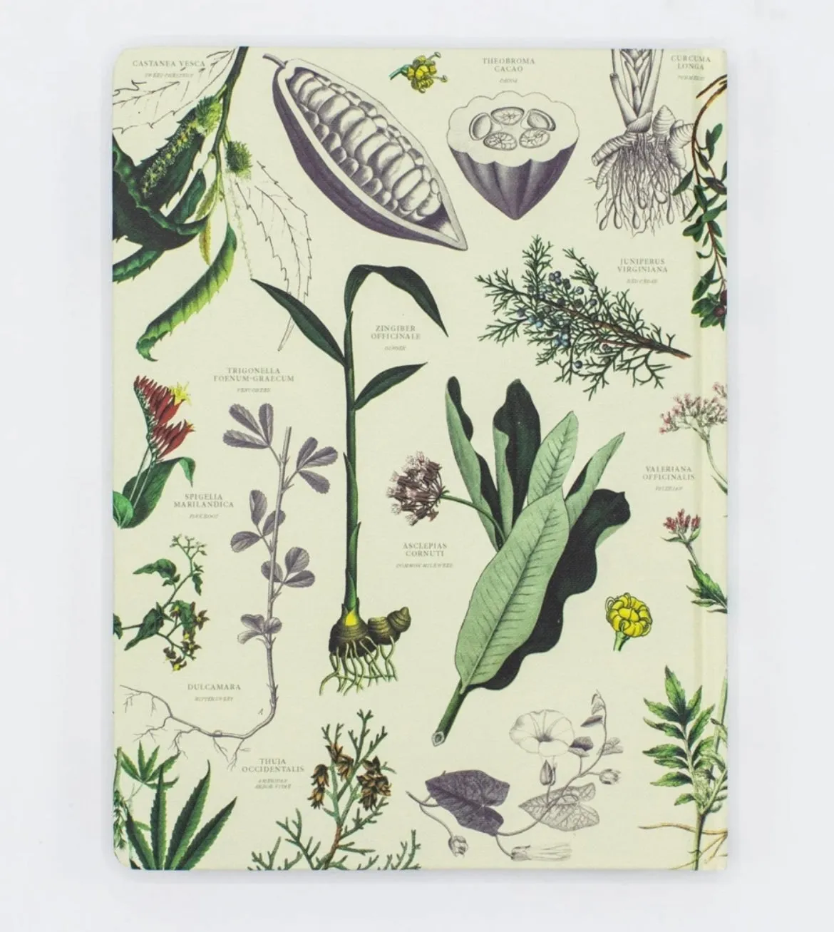 Medicinal Botany Hardcover Notebook