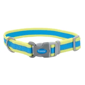 Pro Reflective Adjustable Dog Collar, Blue and Yellow, Large